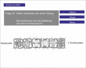 LS_Die Zelle 3